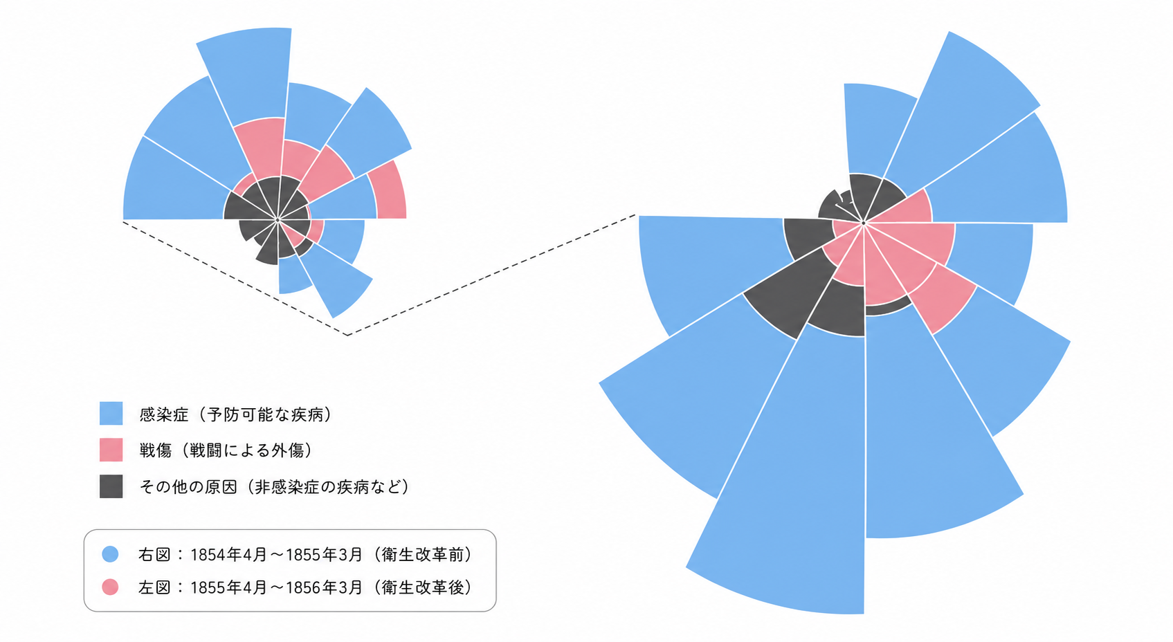 ナイチンゲールのバラ図（極域面積図）クリミア戦争 死因別死亡数 衛生改革前後の比較